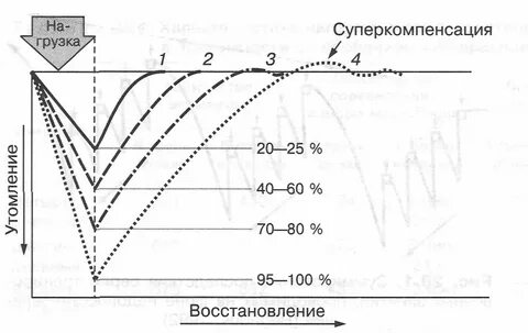 Направленность нагрузки