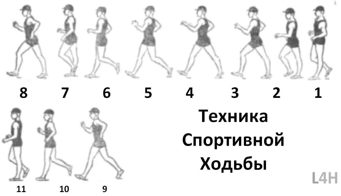 Спортивная ходьба техника. Техника спортивноймходьбы. Методика спортивной ходьбы. Спортивная ходьба упражнения. Шагай техника