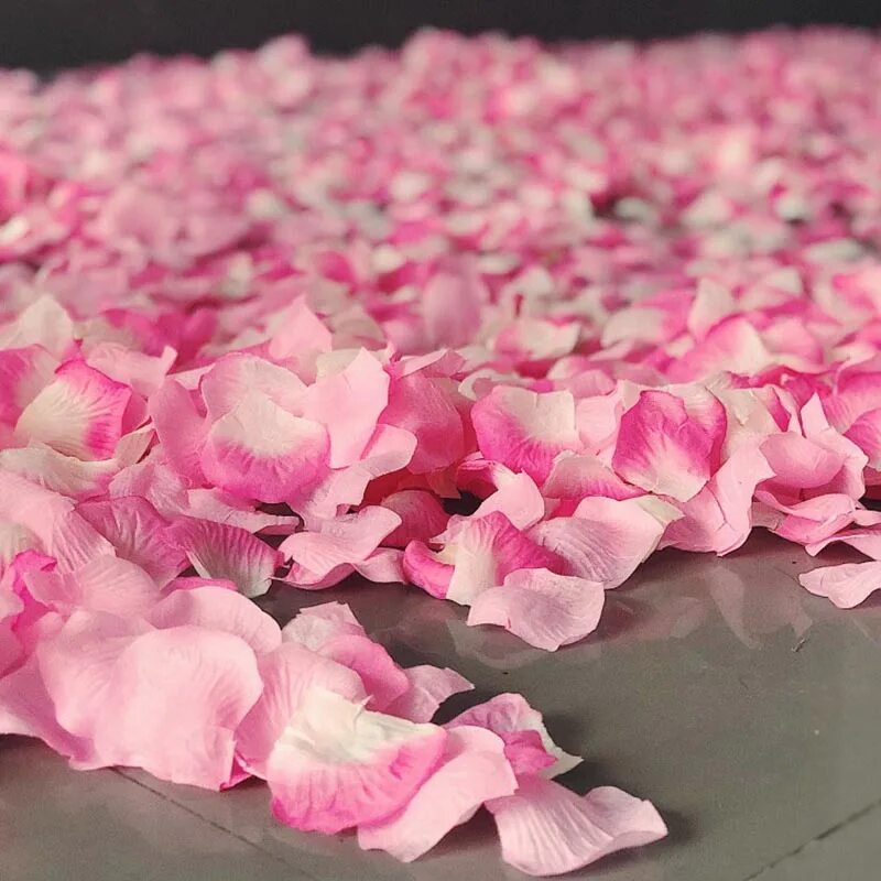 Почему лепестки роз. Лепестки роз. Розовые лепестки. Цветочные лепестки. Лепестки розовых роз.