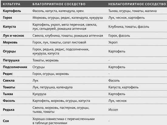 После каких культур можно сажать лук. Таблица предшественников овощей. Соседство и предшественники овощных культур. Что после чего садить. Предшественники овощных культур при посадке таблица.