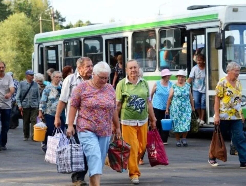 Г апреля пенсионерам. Дачный автобус. В общественном транспорте летом. Пенсионеры в автобусе. Дачники в автобусе.