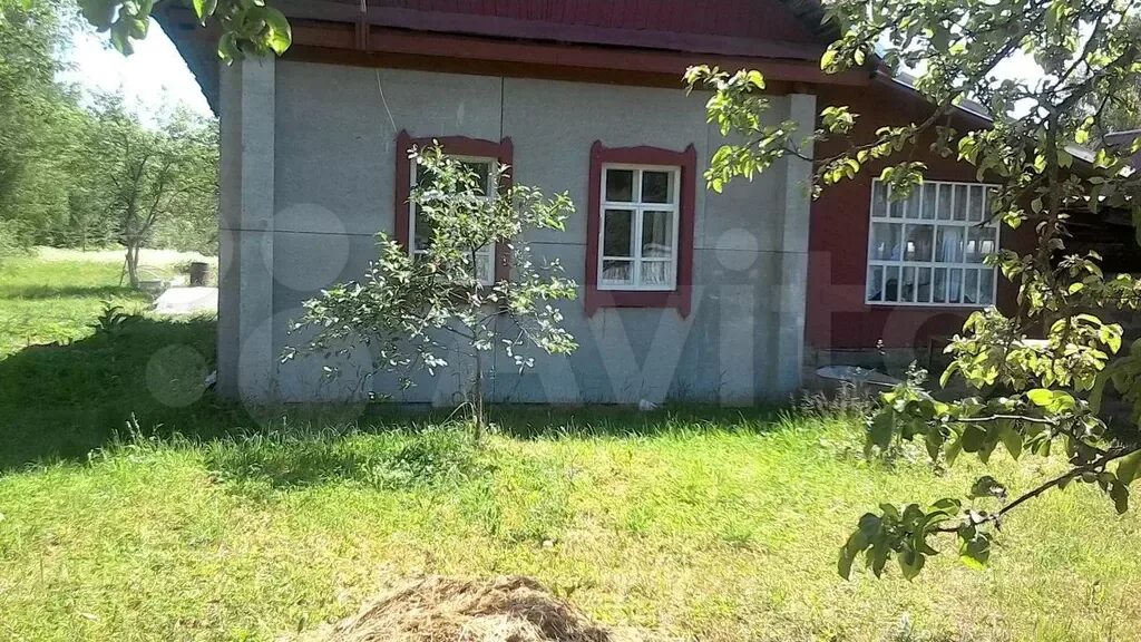 Погода осеченка тверская область. Осеченка тверская область. осеченка вышний волочек.