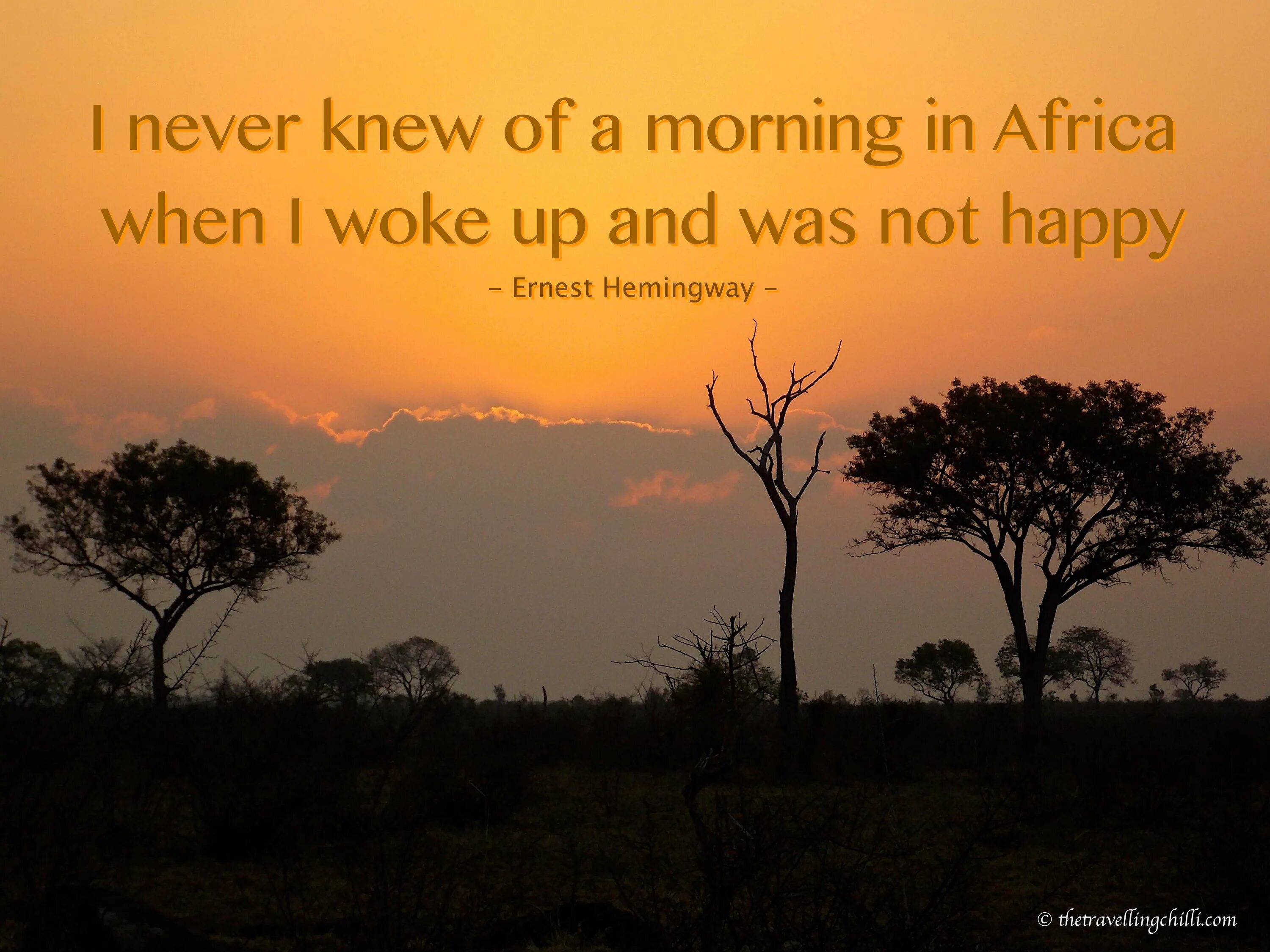 Каждое утро в африке. Цитаты про Африку. Утро в Африке. Доброе утро Африка. Африка утром.