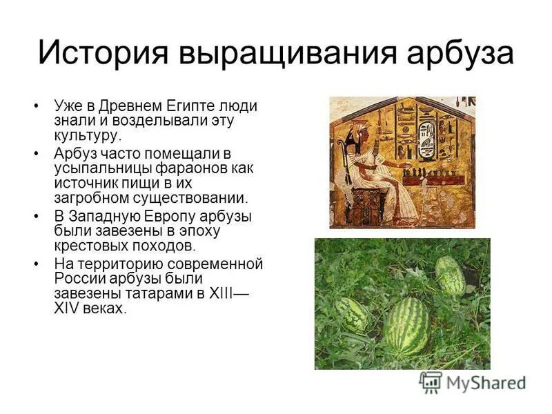 История высадки