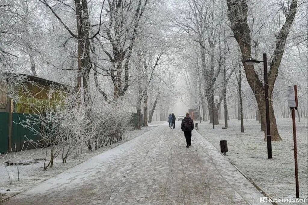 Снег в Краснодаре. Мокрый снег. Краснодар в феврале. Снежный Краснодар.