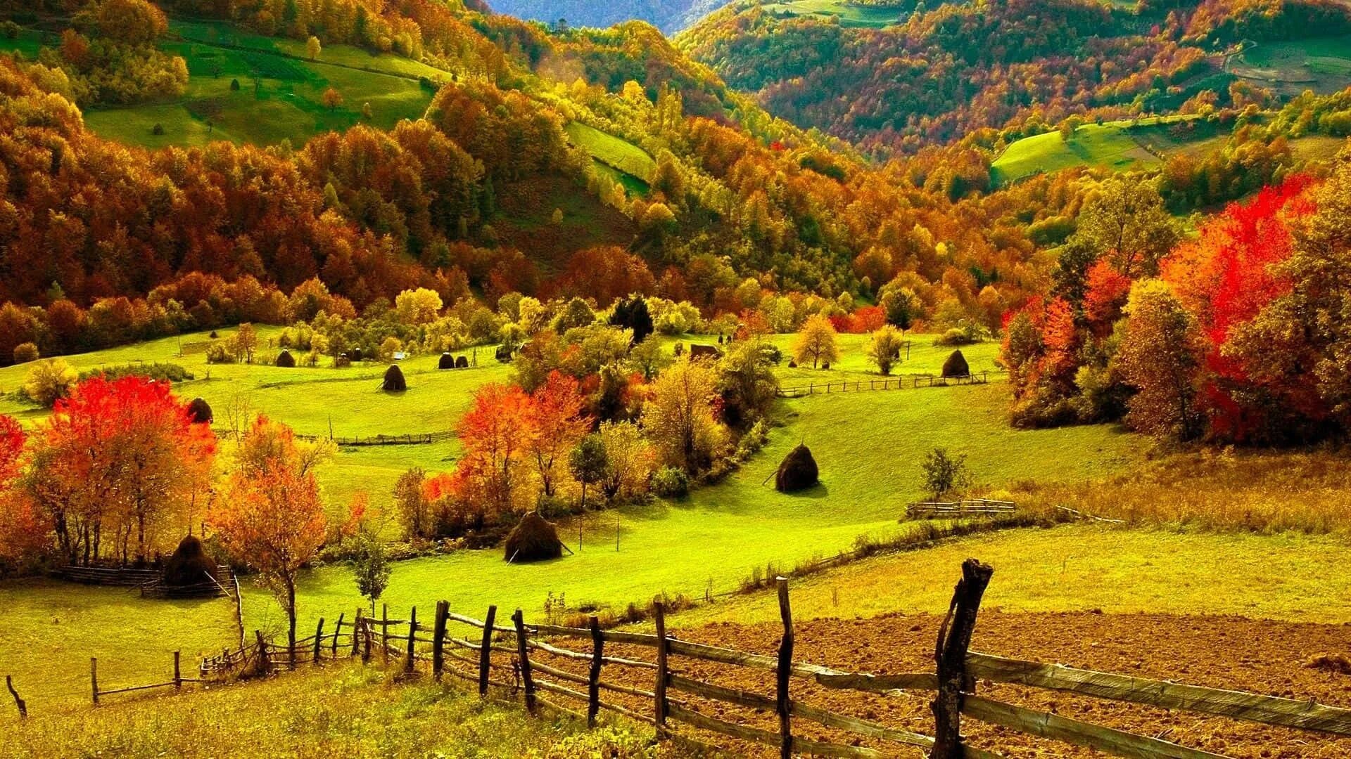 Country scenes. Осеньгорыдеревня Англия. Пейзаж. Осенний пейзаж. Осень в деревне.