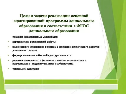 Индивидуальная адаптированная программа для ребенка зпр