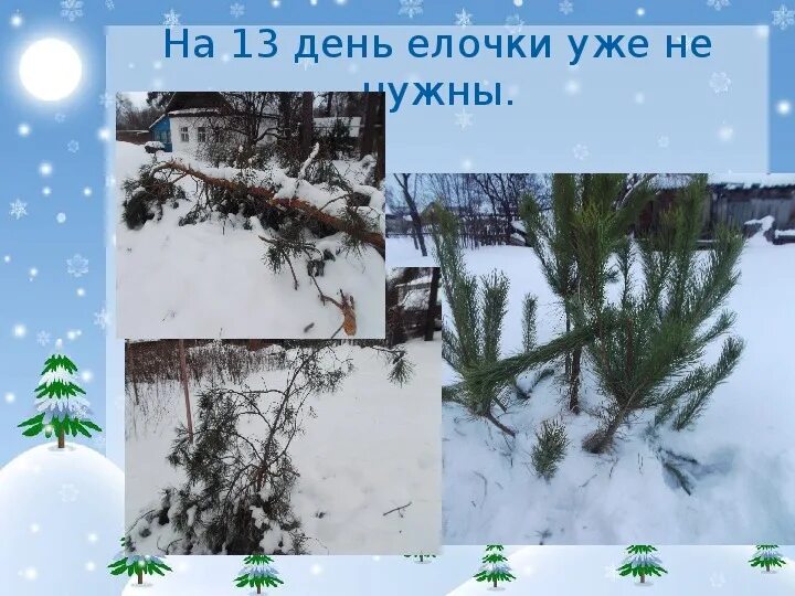 Елочка на желтом фоне. Красивые ели. День елочек. Елка в лесу. Новогодняя зима.