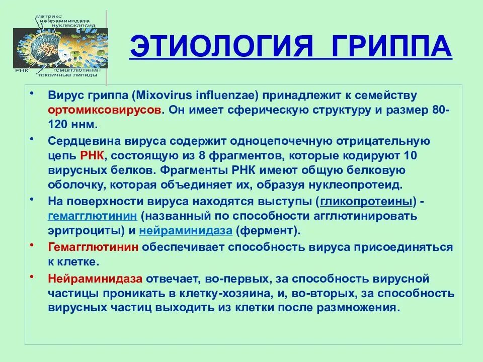 Грипп б 1. Грипп и ОРВИ этиология клиника. Грипп этиология эпидемиология. Грипп этиология патогенез клиника лечение профилактика. Грипп этиология эпидемиология патогенез.