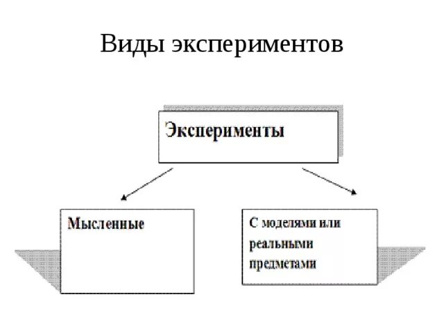 Проведем мысленный эксперимент. Мыслительный эксперимент. Виды эксперимента. Мысленный эксперимент в биологии. Виды мысленного эксперимента.