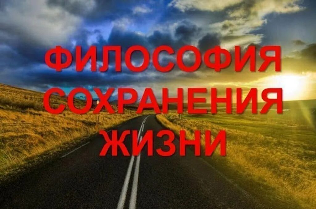 Стихотворение дороги россии. Стихи про дорогу на дачу. Стих про дорогу жизни на юбилей. В Остен дорога стихотворение. Автор стихотворения по дороге в класс.