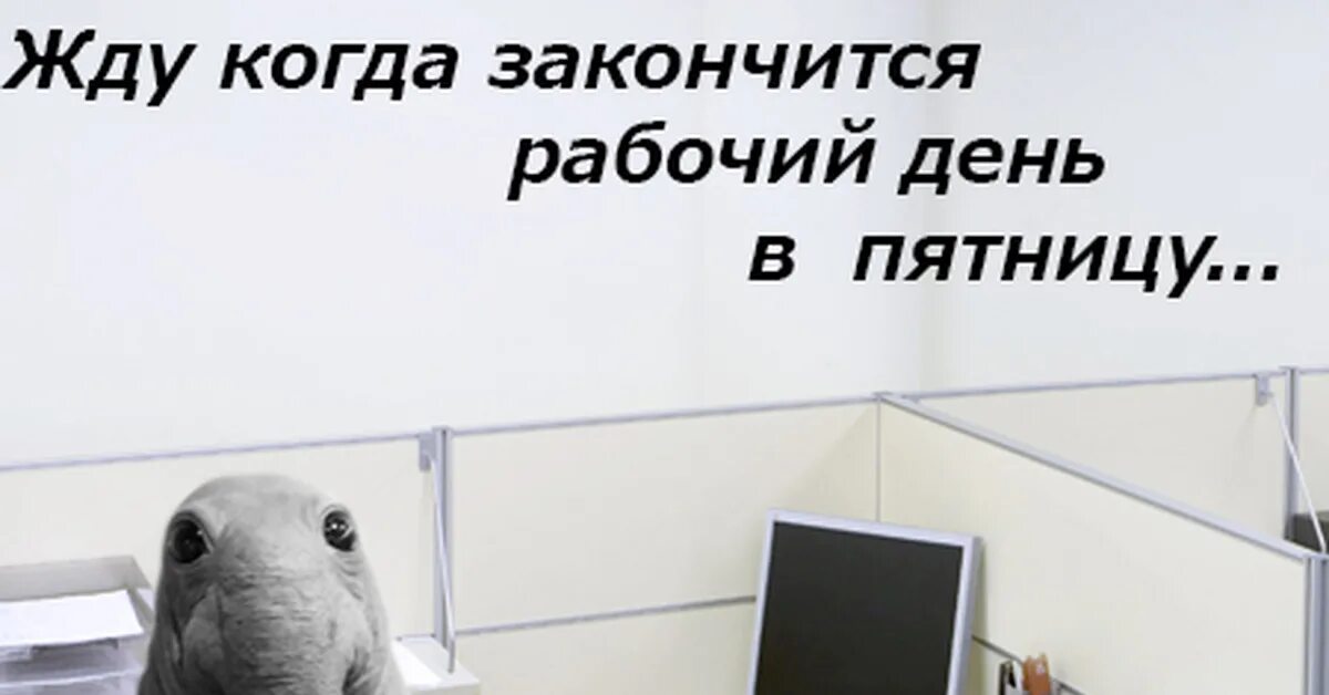 Ожидай окончание. Пятница рабочий день. Пятница рабочий день закончен. До конца рабочего дня. Пятница короткий рабочий день.