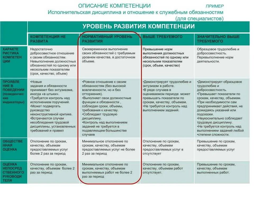 Оценка руководителя пример