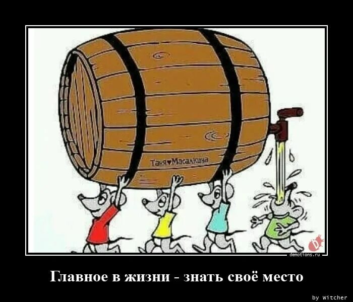 Литвак цитаты. Он нашел это место. Он нашел это место. Шутки про опоздание. Если вам не нравится место где.