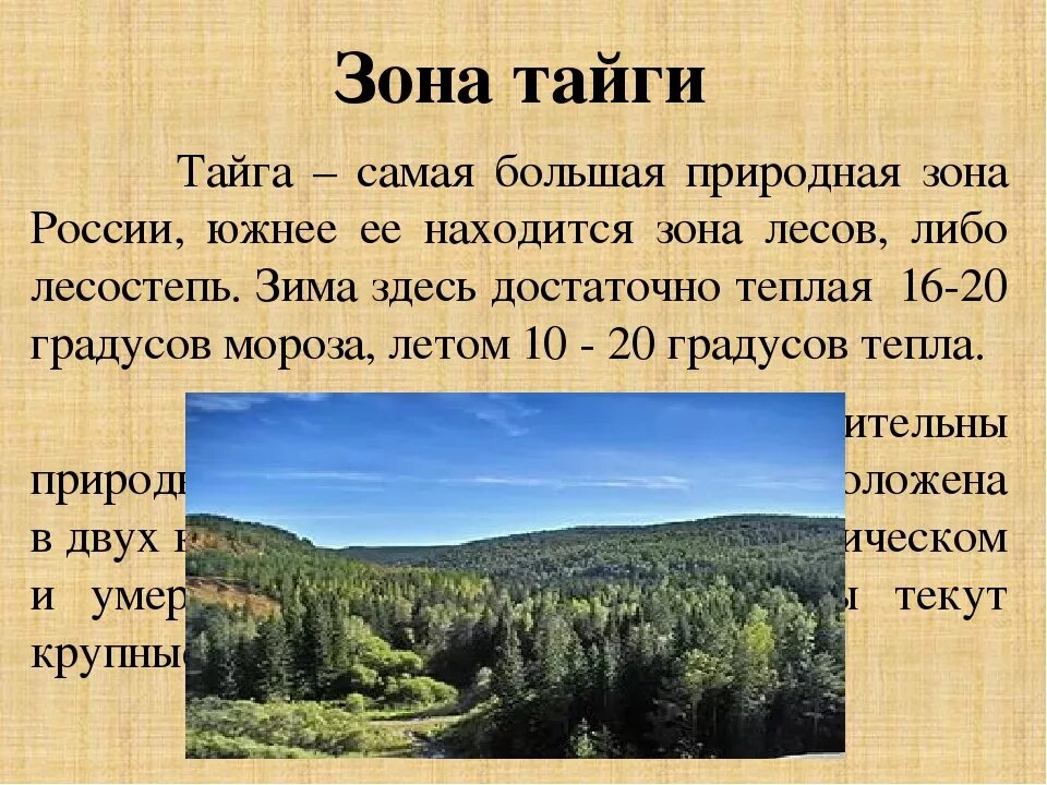 Интересные природные зоны. Тайга природная зона. Презентация на тему природные зоны. Сообщение о природной зоне. Тайга презентация.