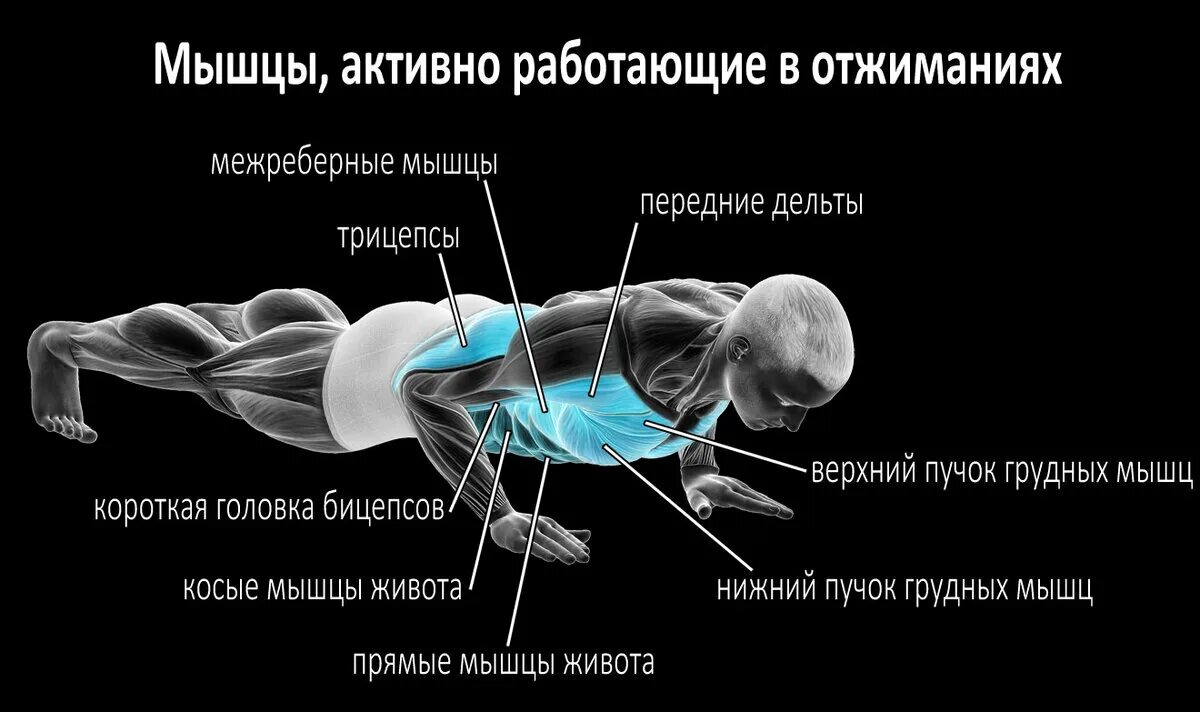 Отжимаю почему и