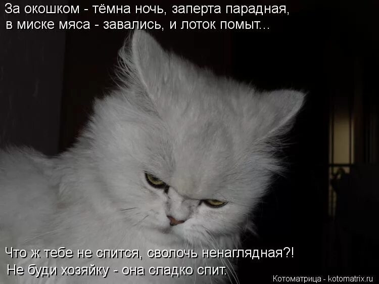 евлампия романова лампа и костин. сволочь ненаглядная читать полностью. задачник остера по математике замуж тетя оля. донцова сволочь ненаглядная. евлампия романова все книги подряд.