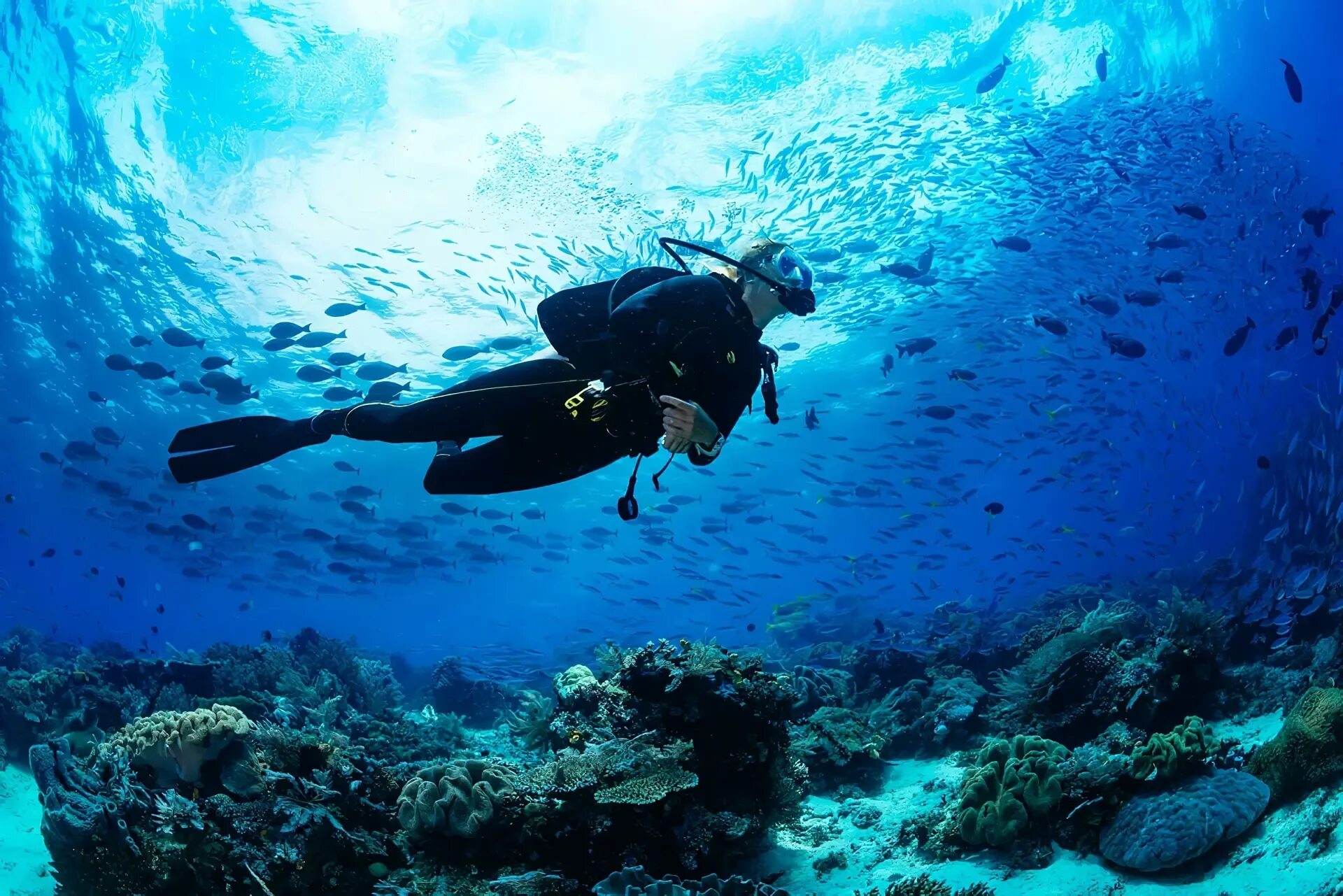 Скуба дайвинг. Скуба акваланг. Скуба-дайвинг, Scuba-Diving погружение. Алгарве Португалия дайвинг. Погружение на дно океана