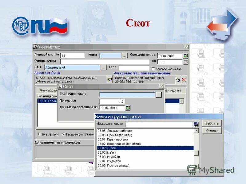 Аис ростовской. Аис ростовской