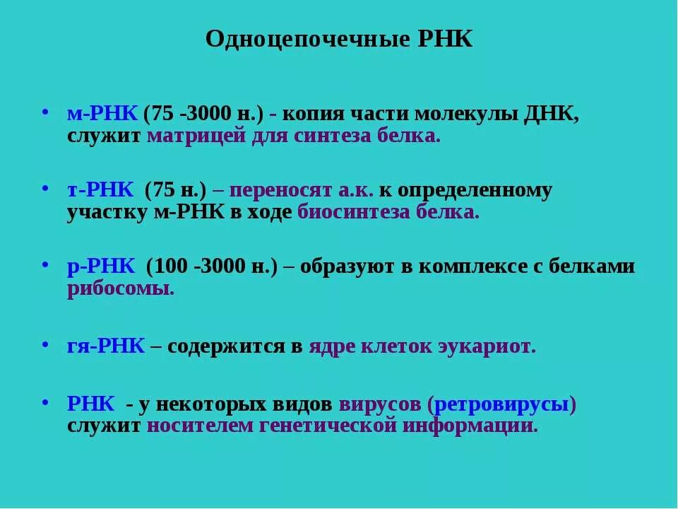 Одноцепочечная РНК. Для синтеза ДНК матрицей служит. Матрица для синтеза РНК. Матрицей служит РНК.