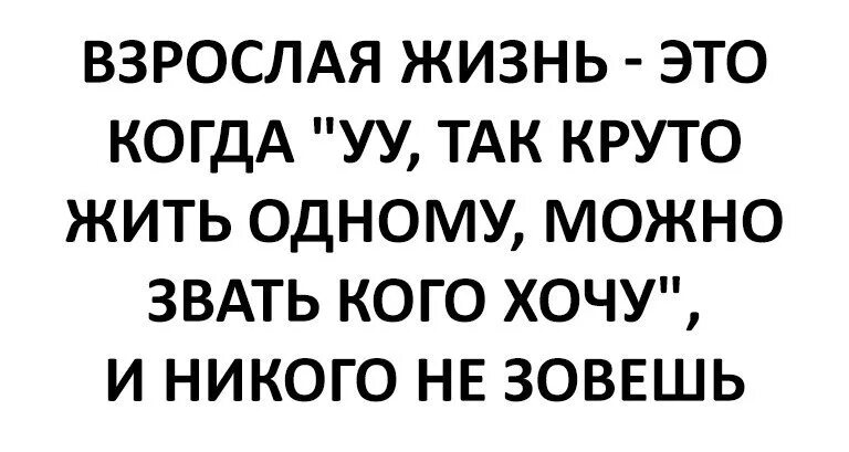 Взрослая жизнь читать. Взрослая жизнь. взрослая жизнь это когда. взрослая жизнь юмор. шутки про взрослую жизнь.