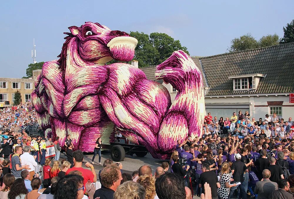 Необычные праздники 2024 году. Фестиваль цветов Bloemencorso в Голландии. Парад цветов в Аалсмеере (Голландия). Парад цветов Bloemencorso в Голландии. Блюменкорсо в Голландии.