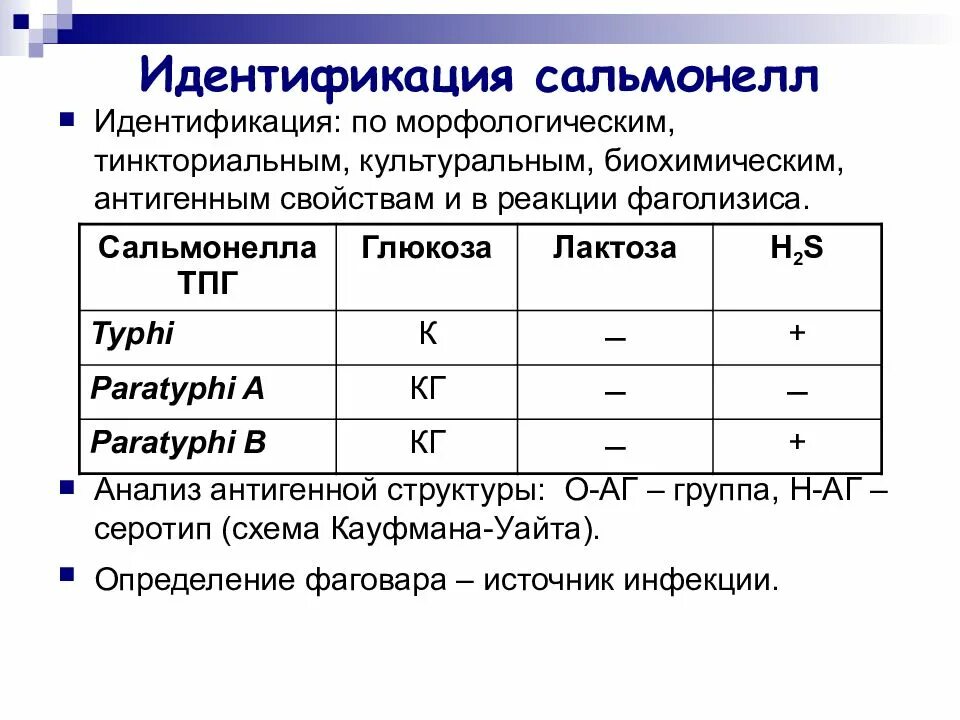 Сальмонелла биохимические свойства идентификация. Биохимические свойства брюшного тифа и паратифов. Идентификация сальмонелл. Классификации сальмонелл по антигенной структуре по Кауфману-Уайту. Исследование на сальмонеллез