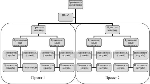 Проектная структура управления схема