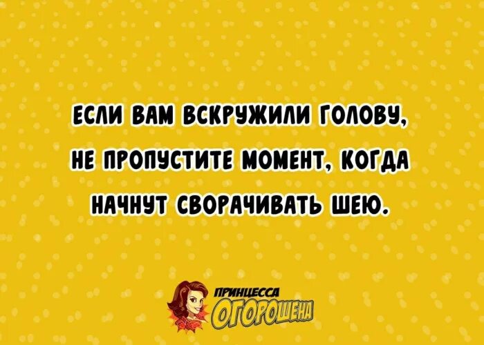 Студенточка вскружила голову ты всем парням песня. Вскружил мне голову. Вскружила голову цитаты. Ты вскружил мне голову. Если вам вскружили голову.