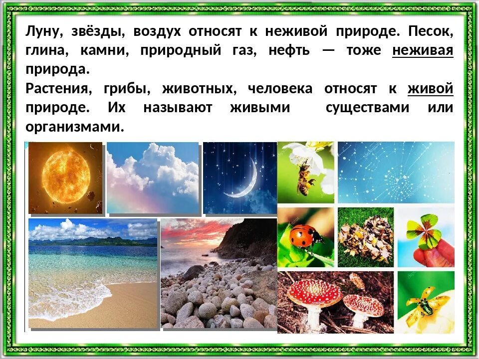 2 неживая природа это. Живая и неживая природа. Объекты живой и неживой природы. Живая и неживая природа 2 класс окружающий мир. Что относится к неживой природе.