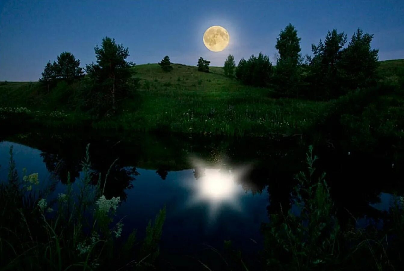 Летняя ночь. Лунная ночь. Пейзаж ночь. Природа ночью. Луна над полями