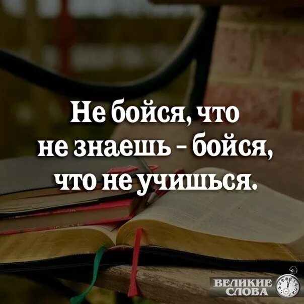 Мудрость мотивация. Мотивационные цитаты для школы. Джонни инглиш он не знает страха. Не зная страха. Цитаты про страх.