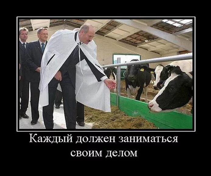 человек занимается не своим делом. должен заниматься своим делом. стих о том что каждый должен заниматься своим делом. каждый должен заниматься своим делом пем. поговорки о том что каждый должен заниматься своим делом.