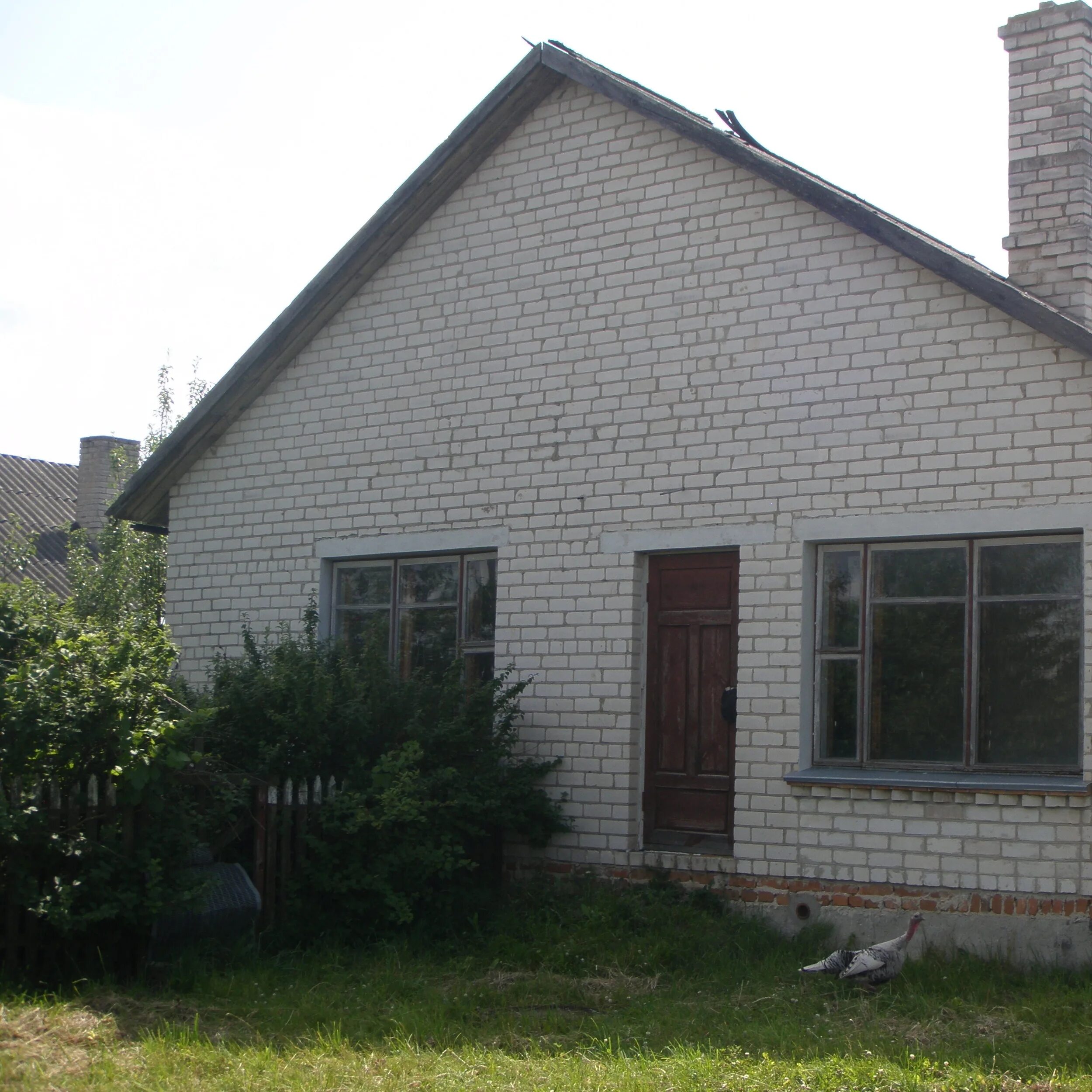 брестская обл пружаны вашкевича дом 6 кв 50. доска объявлений пруюаны. великое село пружанский район. купить дом в ивацевичах брестской области. иванино курчатовского района курской области.