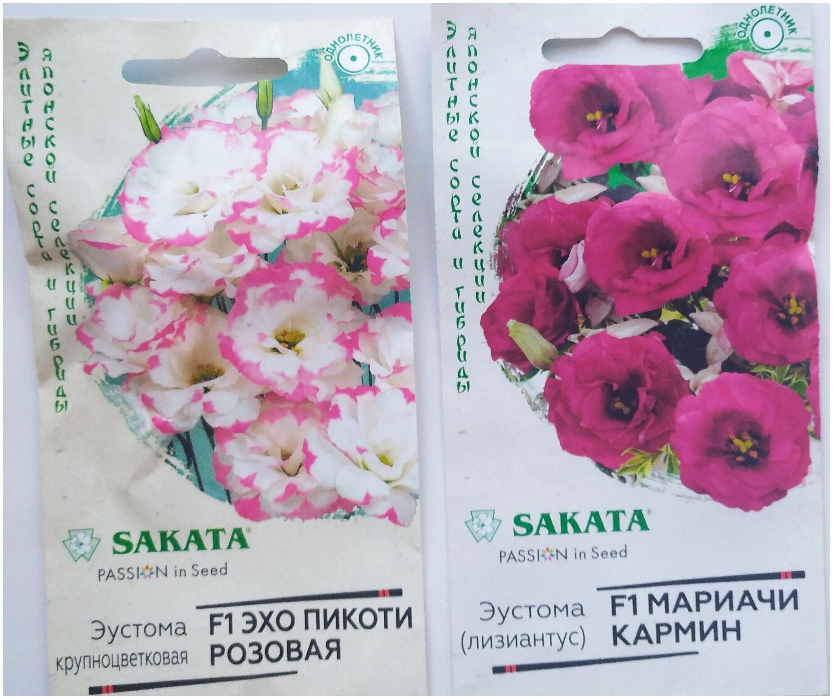 эустома мариачи кармин f1. эустома махровая "мариачи кармин f1. эустома мариачи кармин семена. эустома мариачи кармин махровая. эустома мариачи кармин f1.