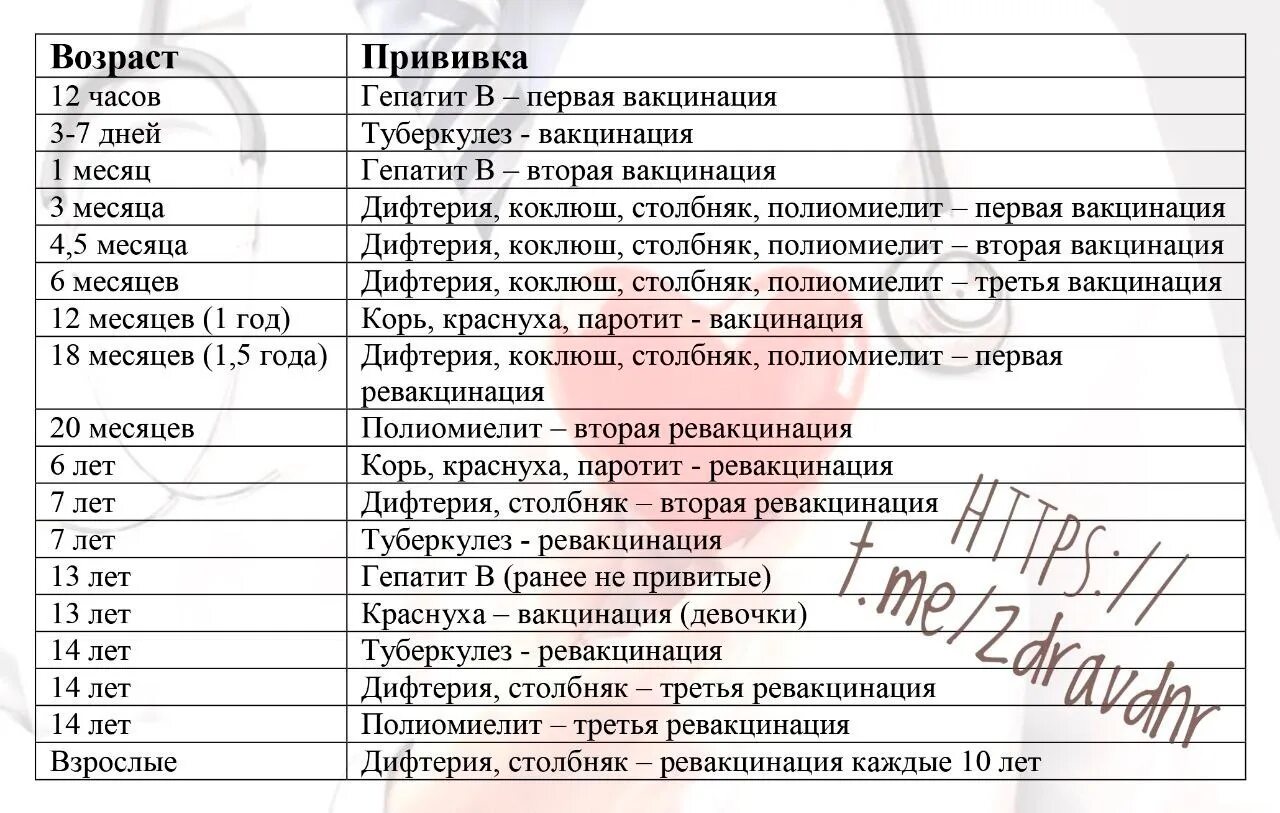 Национальный календарь профилактических прививок 2023. Календарь прививок ДНР. Календарь обязательных прививок ДНР. Календарь прививок для детей. Календарь прививок для детей в России.