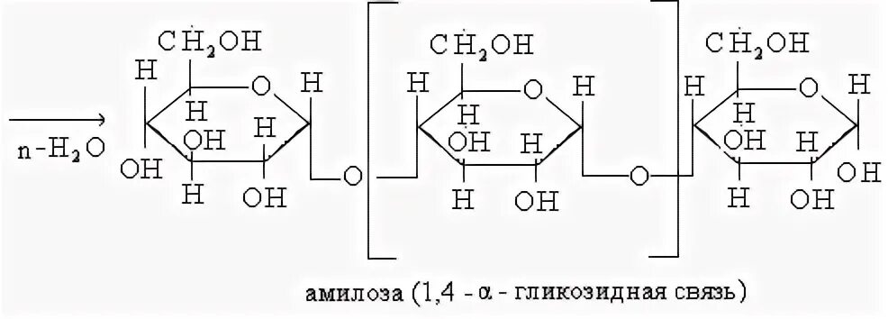 Реакция поликонденсации глюкозы. Поликонденсация Альфа Глюкозы. Реакции поликонденсации бета-Глюкозы. Поликонденсация бета Глюкозы. Реакция поликонденсации бета Глюкозы формула.