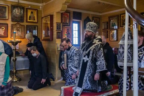 Радость в марьиной