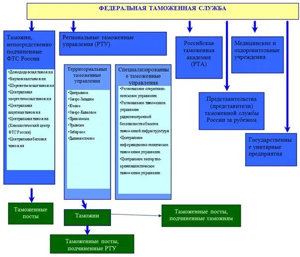 Организационная структура ФТС России схема. Федеральная таможенная служба структура схема. Структура ФТС России схема 2023. Структура таможенных органов РФ схема.