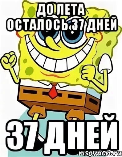 До лета осталось. Сколько дней до лета. Сколько дней осталось до летних каникул. Календарь до лета осталось.