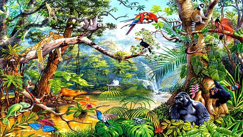 Обитатели джунглей для детей. Done by the forces of nature jungle brothers. Джунгли рисунок. Джунгли картинки для детей. Обитатели джунглей для детей.
