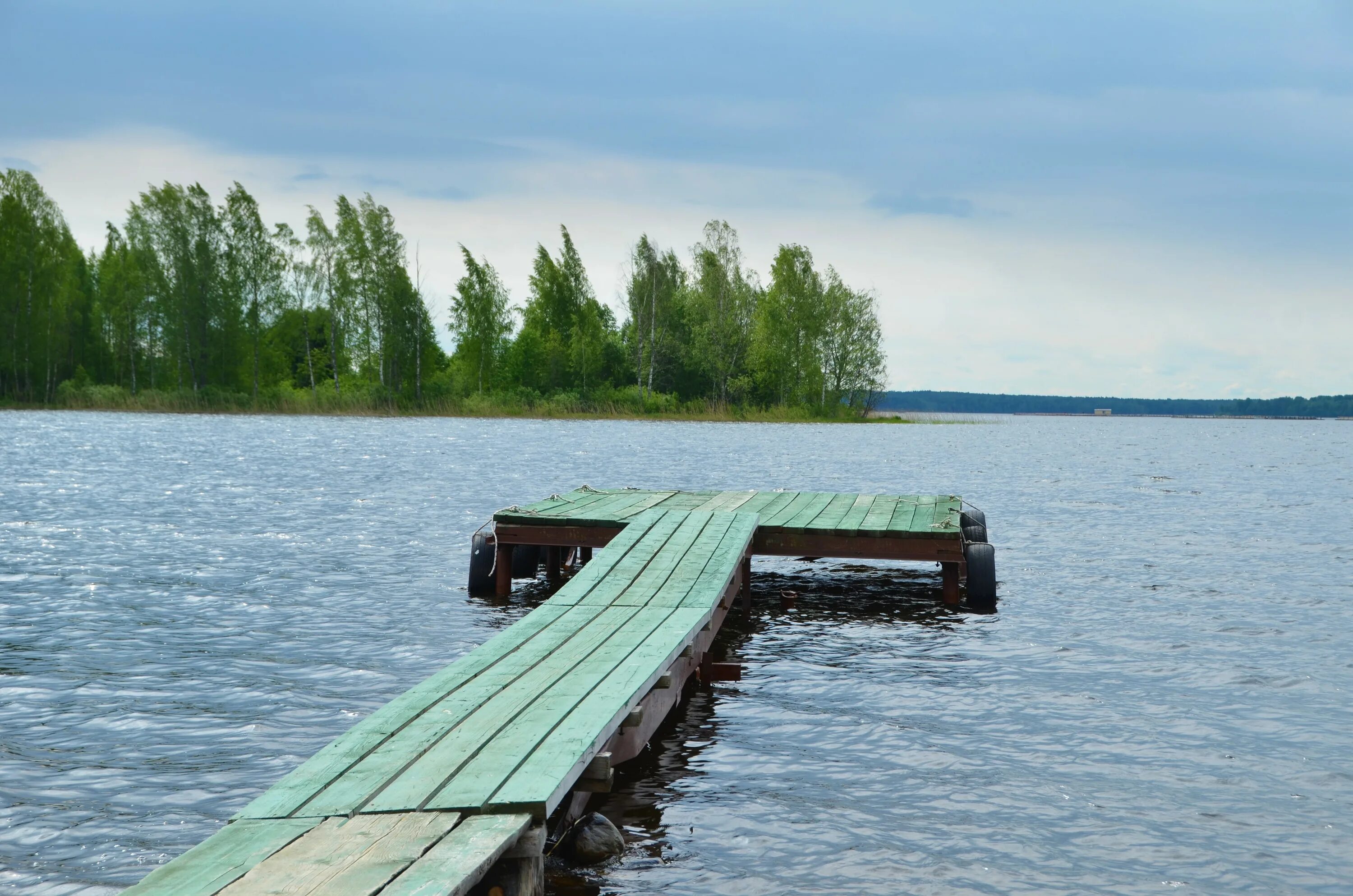 Озеро ужин. Озеро вельё Новгородская область. Озеро Велье Валдай базы отдыха. Озеро ужин на Валдае. Озеро Боровенец Валдайский район.
