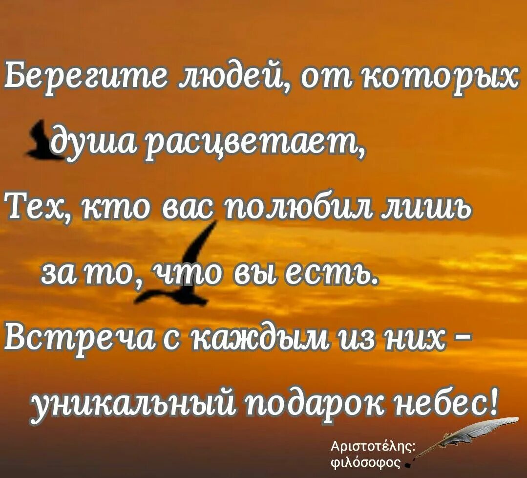 Несчастье желающий. Стихи о жизни. Мудрые притчи. Стихи о жизни со смыслом. Красивые стихи о жизни.