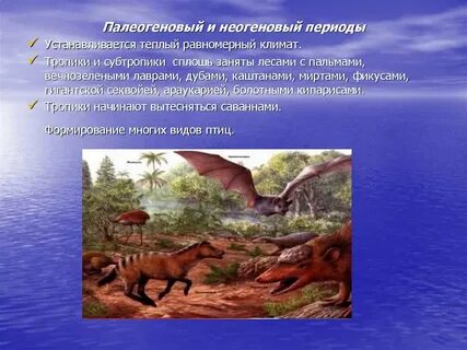 Кайнозойская эра геологические процессы