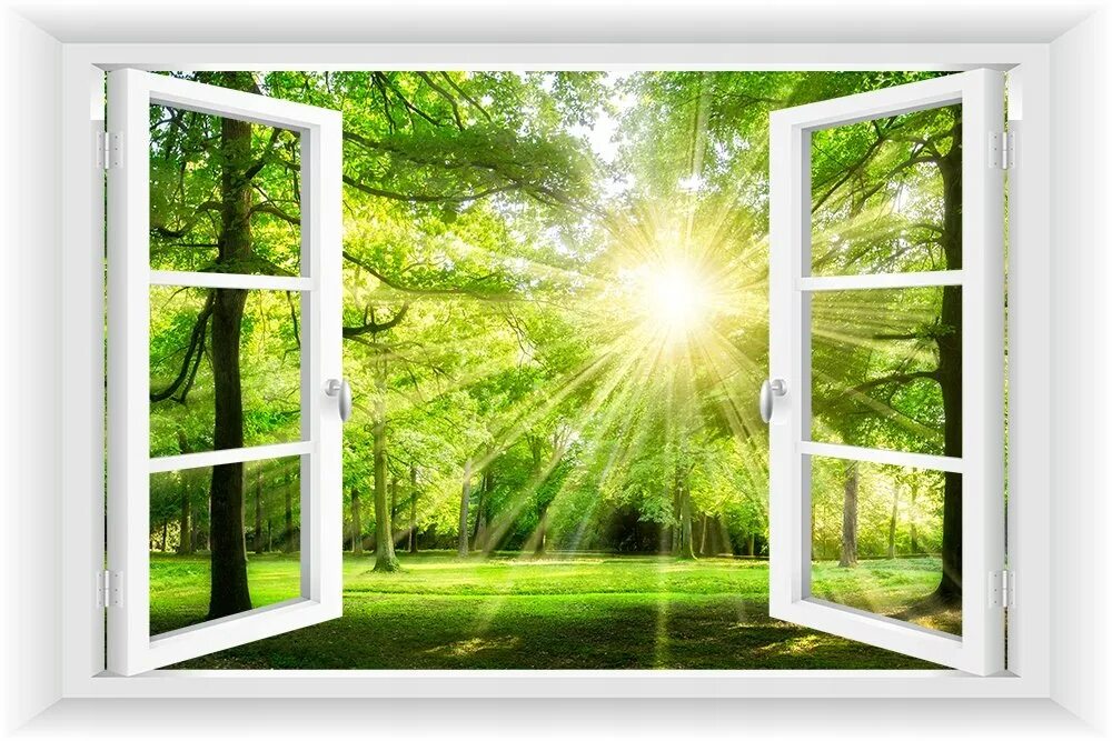 Окно в природу. Природа за окном. Открытое окно. Фотообои окно. Отворите окна отворите слушать