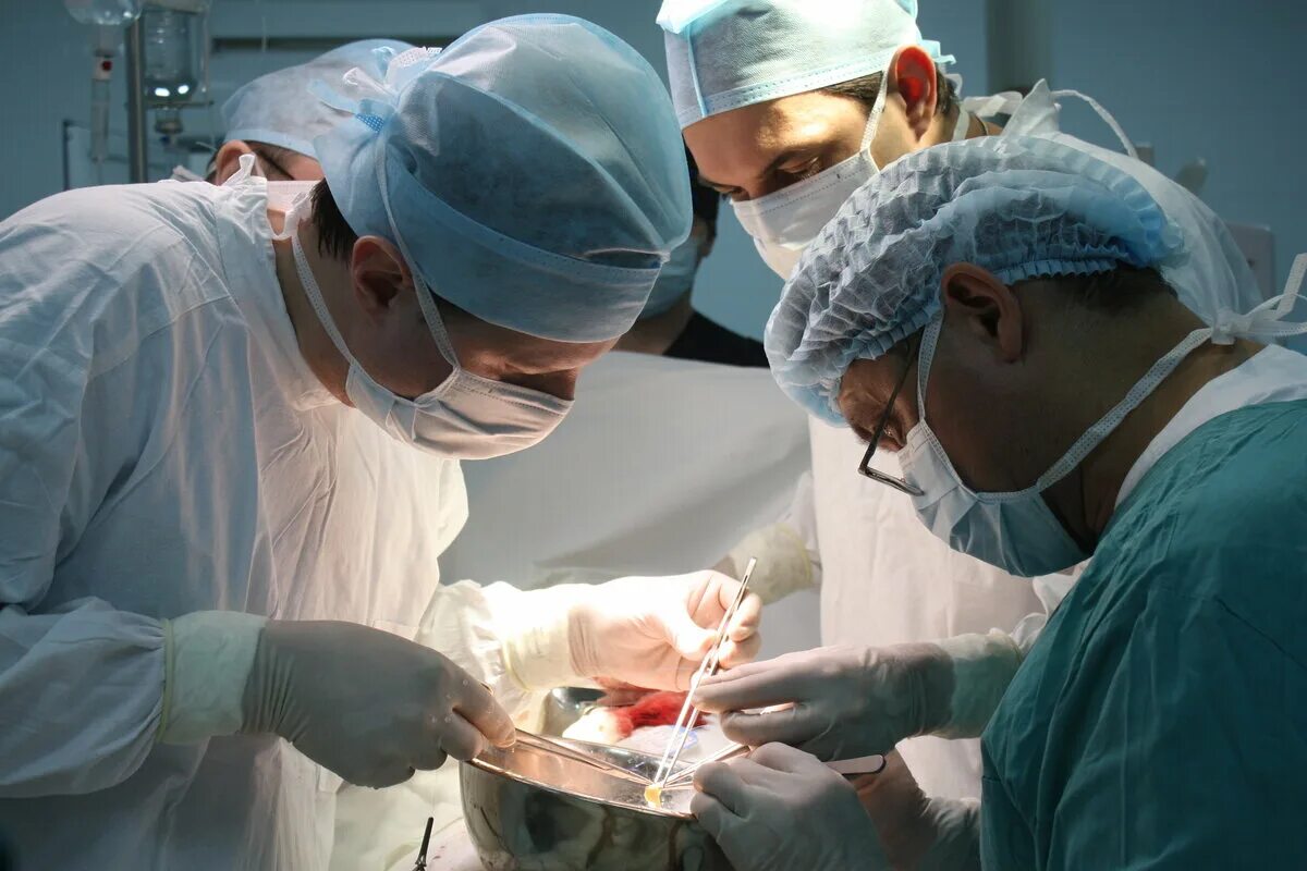 Трансплантант. Трансплантология почки. Хирургическая операция. Операция по трансплантации почки.