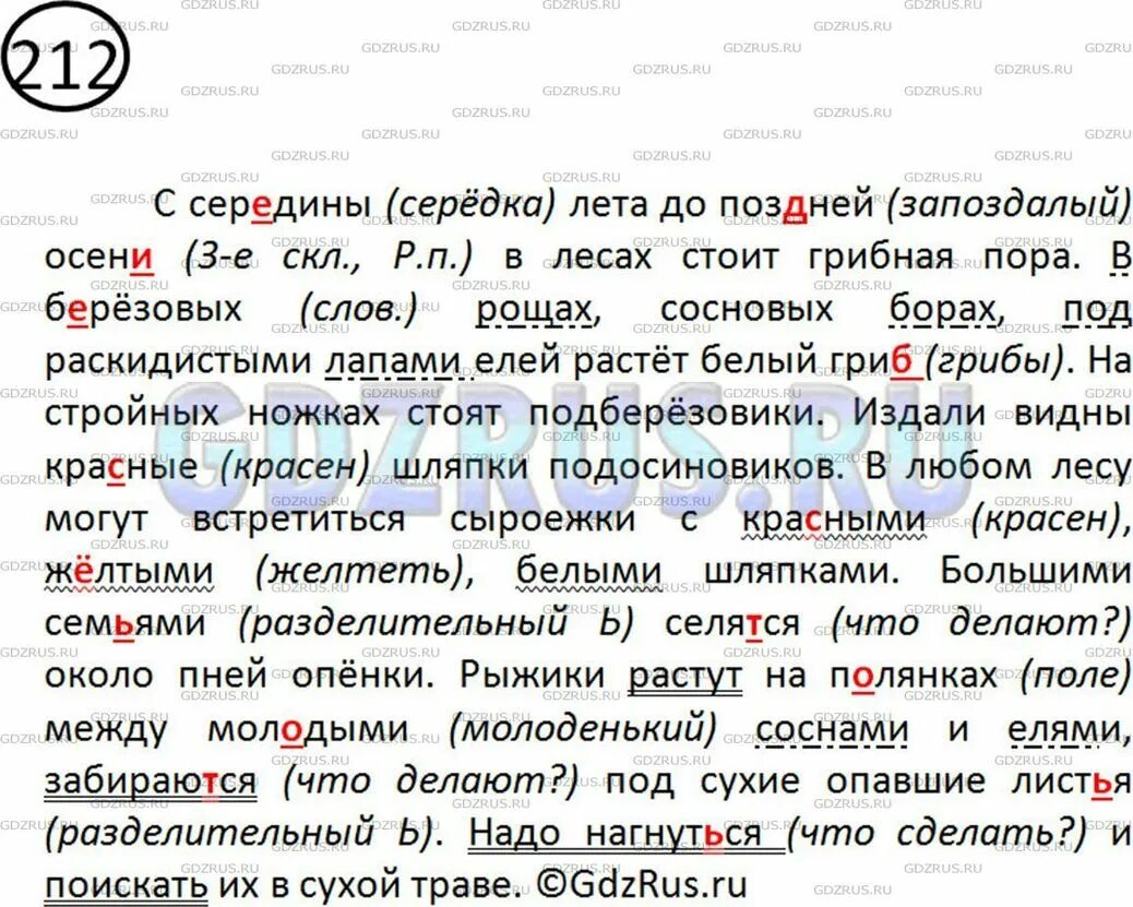 Грибная пора диктант. С середины лета до поздней осени. Диктант грибники. Диктант про грибы. Русский язык 5 класс ладыженская.