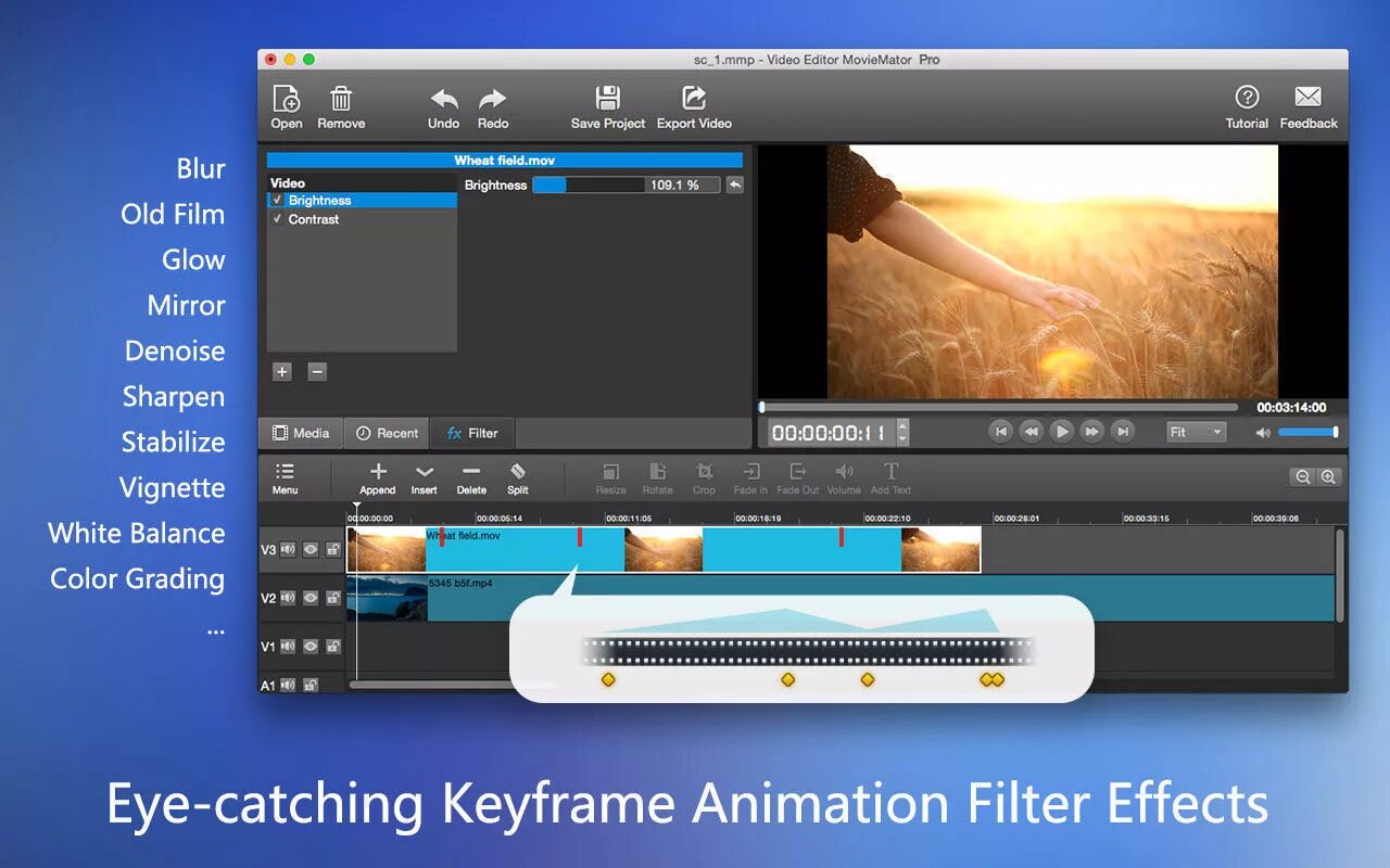 Am video editor. Video editor. video editor pro. moviemator video editor. professional video editor.