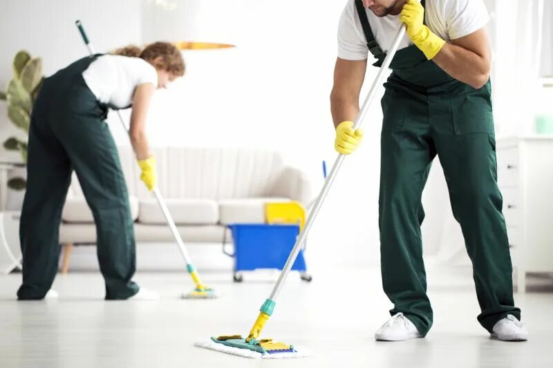 Pro уборка отзывы. Тележка vileda professional ultraspeed pro двухведерная. Cleaning carpet man. Vileda professional ультраспид про. Клининг москва.