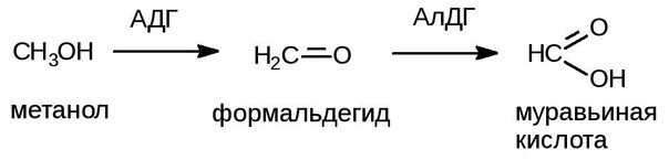 Схема биотрансформации метилового спирта. Из метанола в муравьиную кислоту. Муравьиная кислота и метанол.